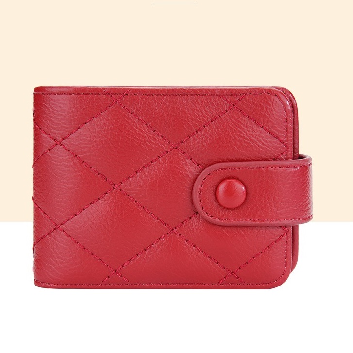 Portafoglio Baellerry DO-36117 - Marrone